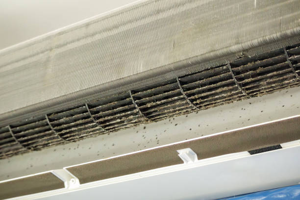 Best Professional Duct Cleaning Services  in Milton, WI